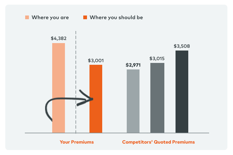 Preferred Risks Data Visualization